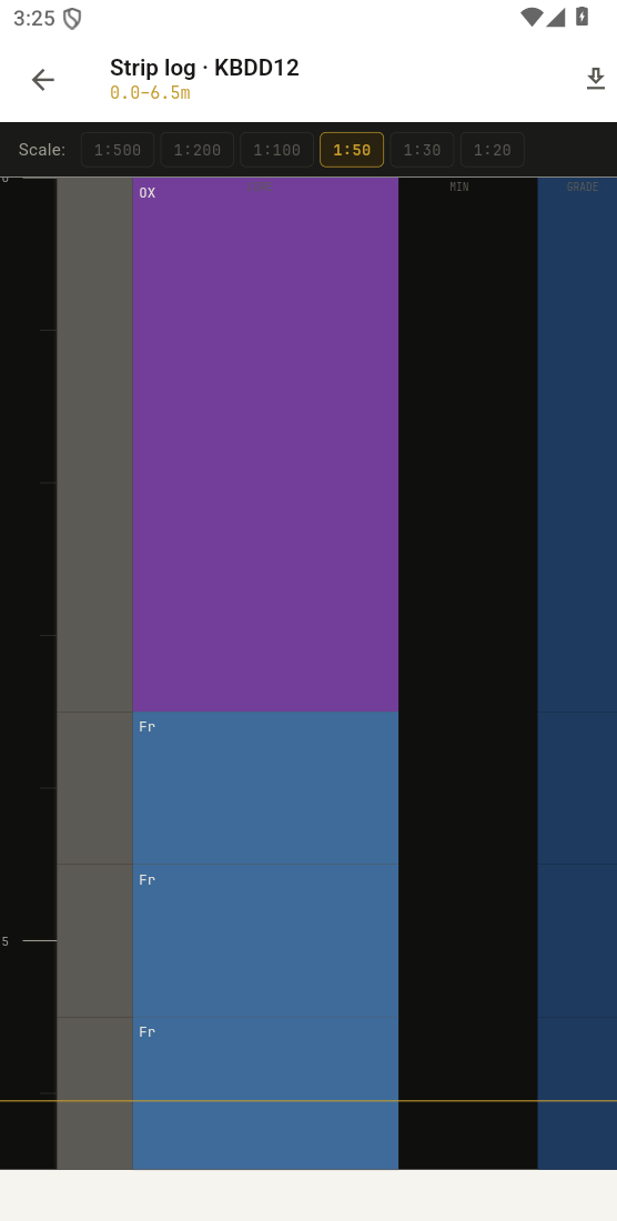 Mobile strip log
